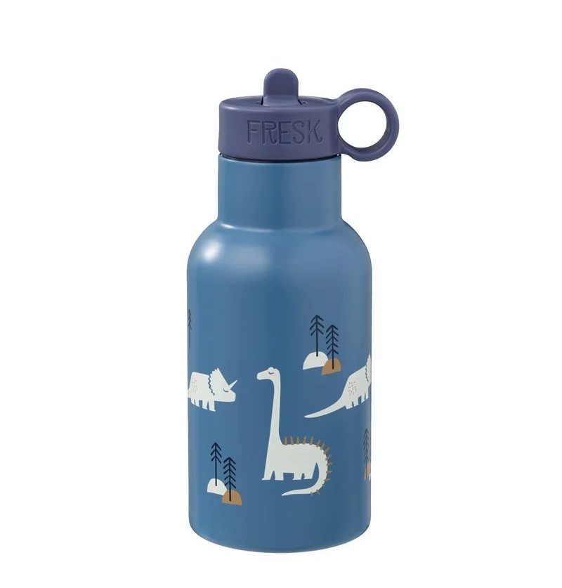 Gourde isotherme 350ml Dino...