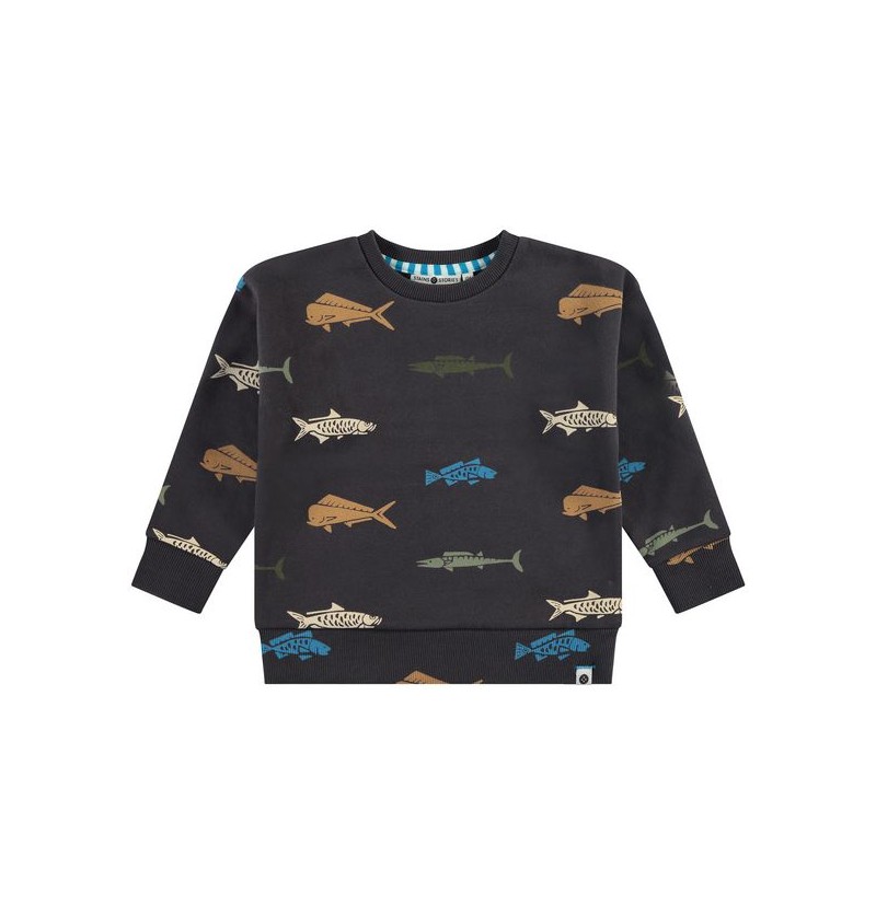 Sweat antra poissons...